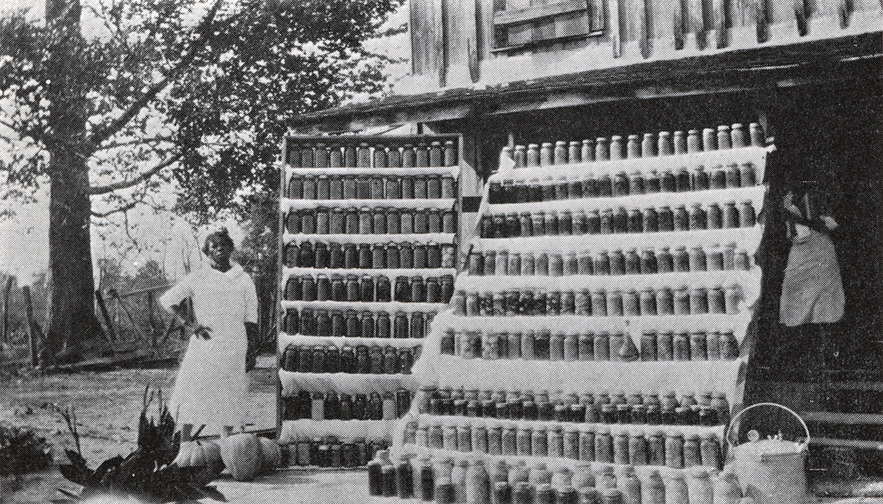 African American woman in Mississippi County, Arkansas, who “canned 780 quarts of vegetables as a supply for family use.” From the Extension Service Annual Report (no. 335), page 44. Published by University of Arkansas Agricultural Extensions Service January 1935. 